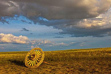 奇葩游戏《章鱼丸子派对幸存》确定7月20日登陆Switch